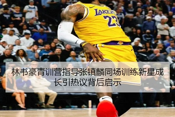 林书豪青训营指导张镇麟同场训练新星成长引热议背后启示
