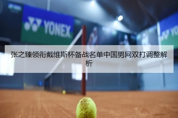 张之臻领衔戴维斯杯备战名单中国男网双打调整解析